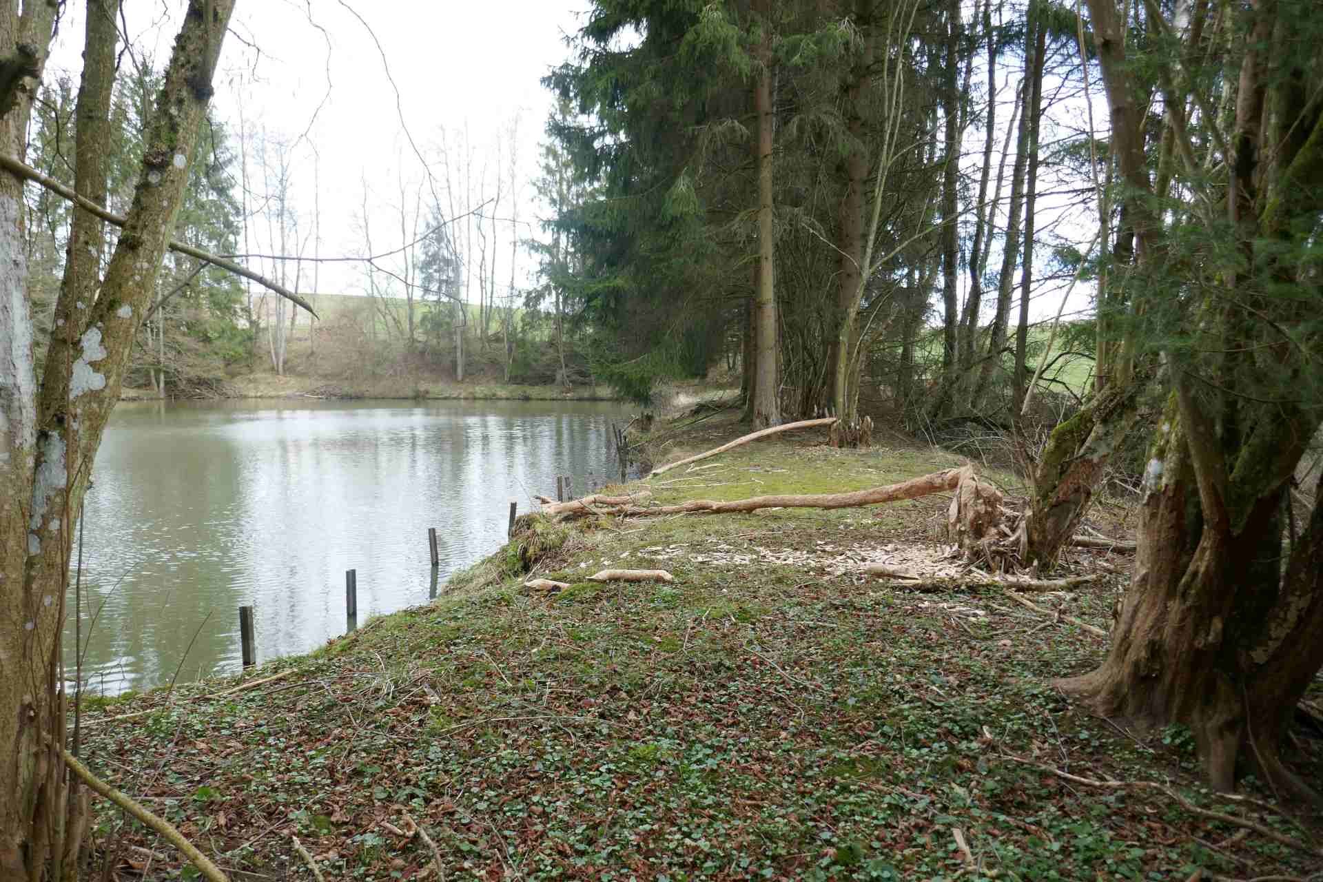 03 März - rund um Goldshöfe